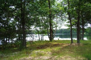 Secluded Northwoods WI Lakefront!