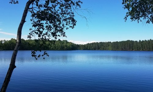 Northwoods WI, 126' Lakefront, 1.4 Wooded Acres of Land!