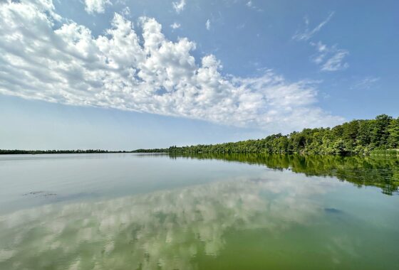 16-Acre Lakefront Land For Sale in Northwest Wisconsin
