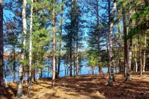 Oneida County Wisconsin Lakefront Property Only $129,900!