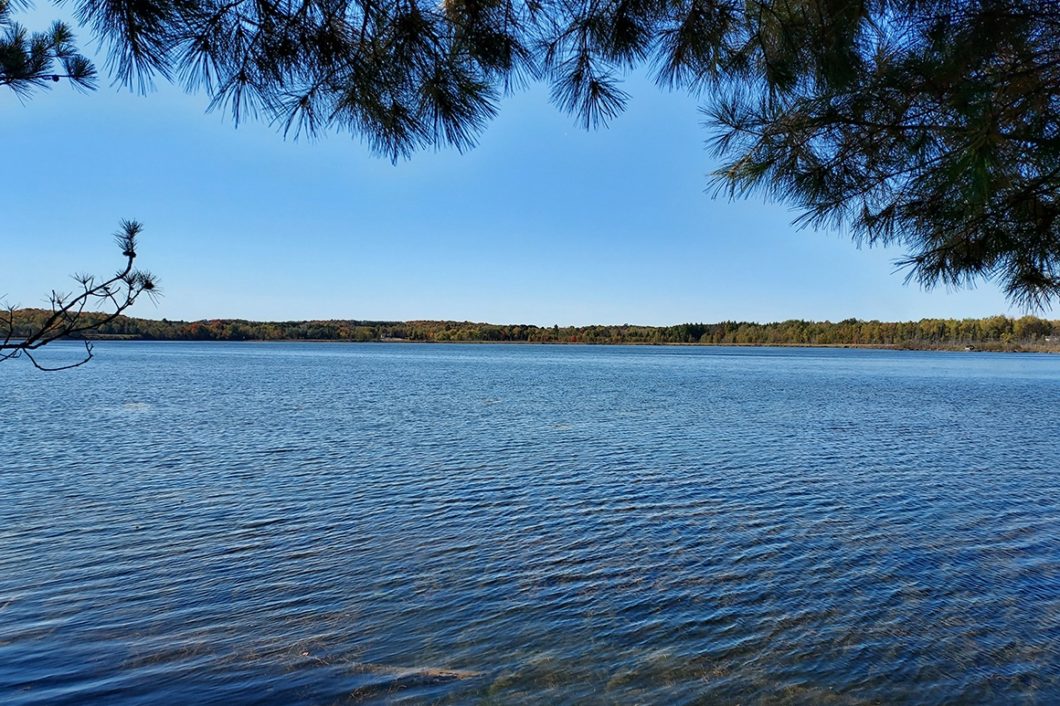 Over 191' Shoreline & 3 Acres on Northern WI Wilderness Lake!
