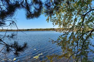 Over 281' Shoreline & 3.7 Acres on Northern WI Wilderness Lake!