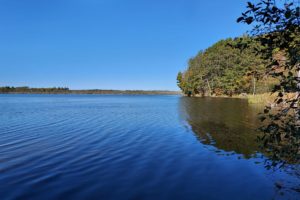 Crandon, Wisconsin Area 5 Acre Wooded Lakefront!