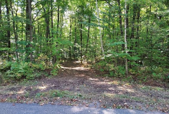 Oneida County WI Camping Land & All Sports Lake $9,900!