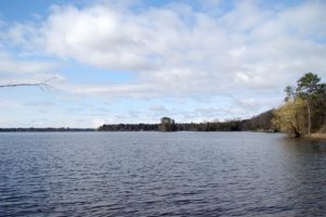 Wooded Camp or Cabin Site; Walk to the Lake in Northern Wisconsin!