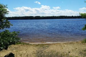Northwest Wisconsin, Deer Lake Wooded Acreage for Sale!