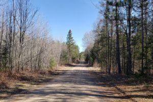 Northern Wisconsin Camp or Cabin Land for Sale by the Chequamegon - Nicolet National Forest!