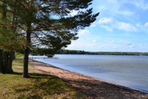 Northern WI Forest County, 4 Acres Wooded Land For Sale!