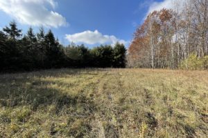 10 Acres of Pines and more Pines with Privacy in NW Wisconsin!