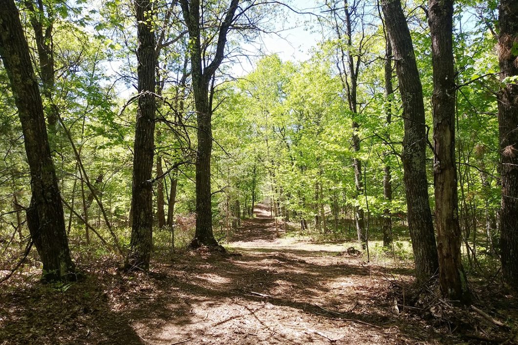 Marinette County, WI 3 Wooded Acres $29,900!