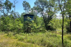 Beecher Township, WI 5 Wooded Acres For Sale!
