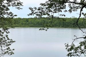 NW Wisconsin, 12 Acres with 1,400’ 0f Private Lakefront!