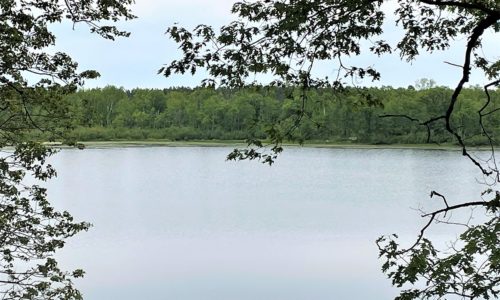 NW WI Polk County, 71 Acres, Woods with 818’ 0f Private Lakefront!
