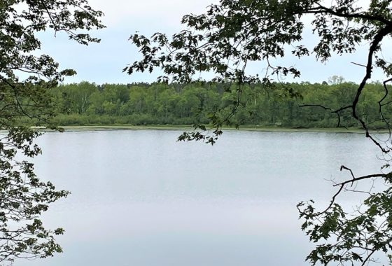 NW WI Polk County, 71 Acres, Woods with 818’ 0f Private Lakefront!