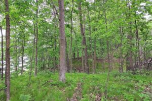 NW Wisconsin, 12 Acres with 1,400’ 0f Private Lakefront!