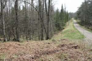 Northern Wisconsin, 14 Acre Wooded Recreational Property for Sale by the Lakes!