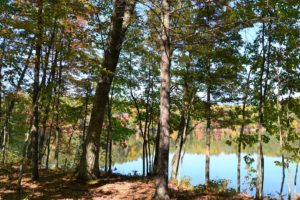 Rhinelander, Wisconsin Area Wooded Lakefront Property for Sale!