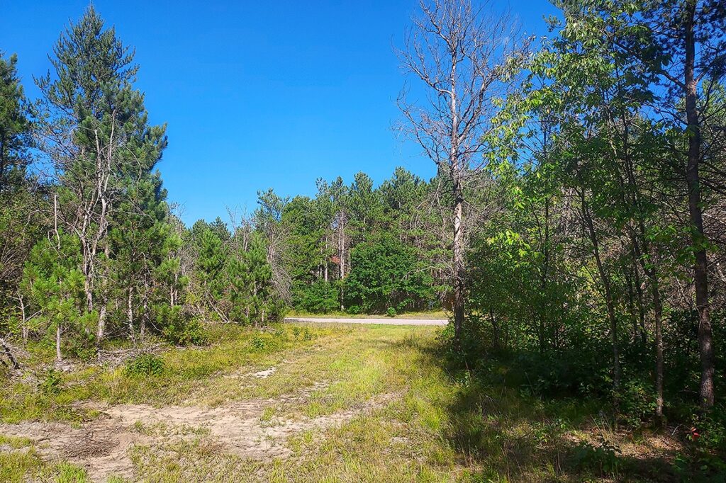 3 Acres Camping/Building Land in Central WI!