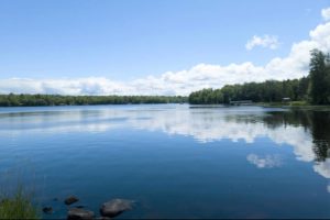 Northern WI 5.5 Acre Wooded Camp or Cabin Site by Butternut Lake!