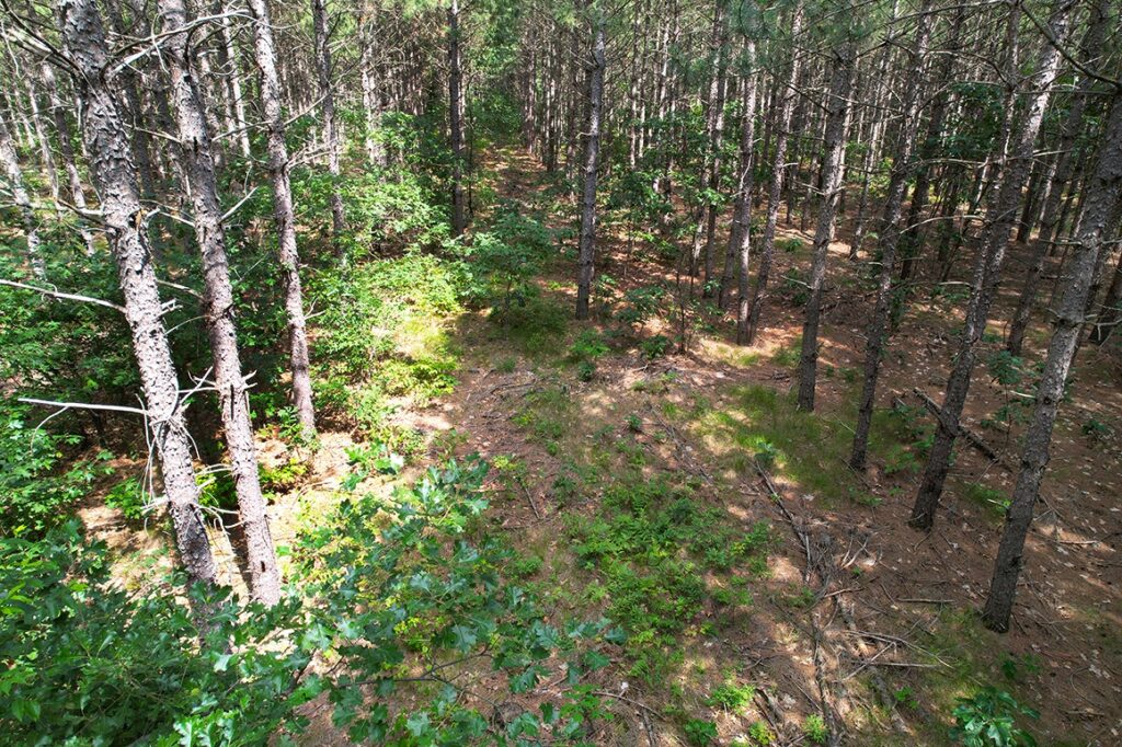 Juneau County 6 Acre Camping Property near Castle Rock Lake!
