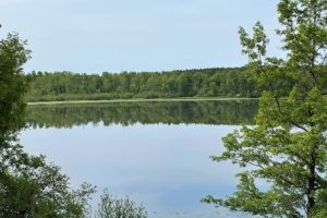 Polk County WI, 71 Acres of Wooded Recreation Property for Sale!