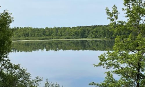 Polk County WI 73 Acres Wooded Lakefront Property for Sale!