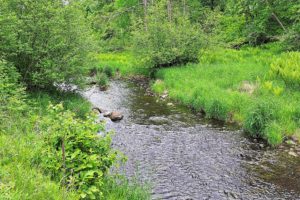 Polk County WI, 77 Acres of Wooded Recreation Property for Sale!