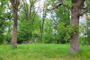 Polk County WI 73 Acres Wooded Lakefront Property for Sale!