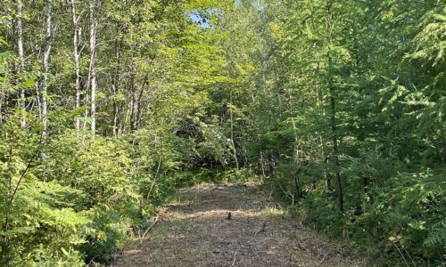 Northwest WI 4 Acre Property Next to the National Forest!