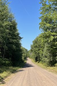 Northwest WI 4 Acre Property Next to the National Forest!