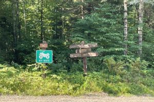 Northern WI Wooded Property for Sale by the Chequamegon National Forest only $19,900!