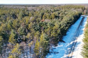 Juneau County WI, 5 Acres of Wooded Recreational Property for Sale!