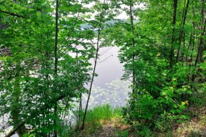 2 Acres Wooded Land For Sale near Lake Lucerne in Northern Wisconsin