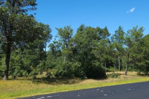 Rome, WI Land for Sale, Walk to Arrowhead Lake Only $27,900!