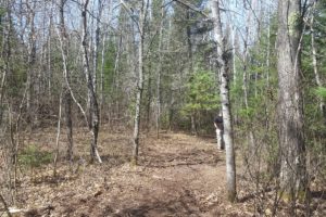 Oneida County, Wisconsin 7 Wooded Acres by the Lakes!