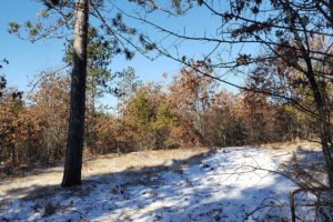 Northern WI Recreational Property with Heated Deer Stand!