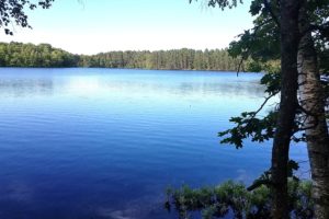 Northern WI Rhinelander Area, Lakefront Property for Sale with 400’ of Shoreline!