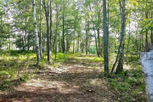 Northern WI Rhinelander Area, Lakefront Property for Sale with 400’ of Shoreline!