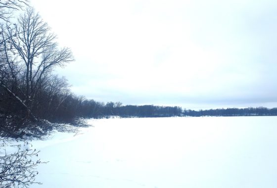 Polk County WI, 27 Acres of Wooded Recreation Lakefront Property for Sale!