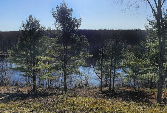 5 Acres Wooded Lakefront Property in Northern WI