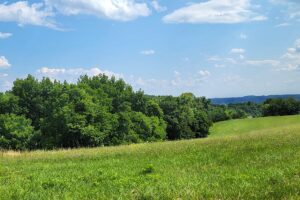 2 Acres Blufftop Property For Sale in Wisconsin Driftless Area