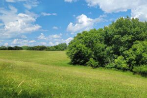 2 Acres Blufftop Property For Sale in Wisconsin Driftless Area