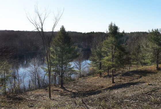 4 Acres Lakefront Property in Northern WI