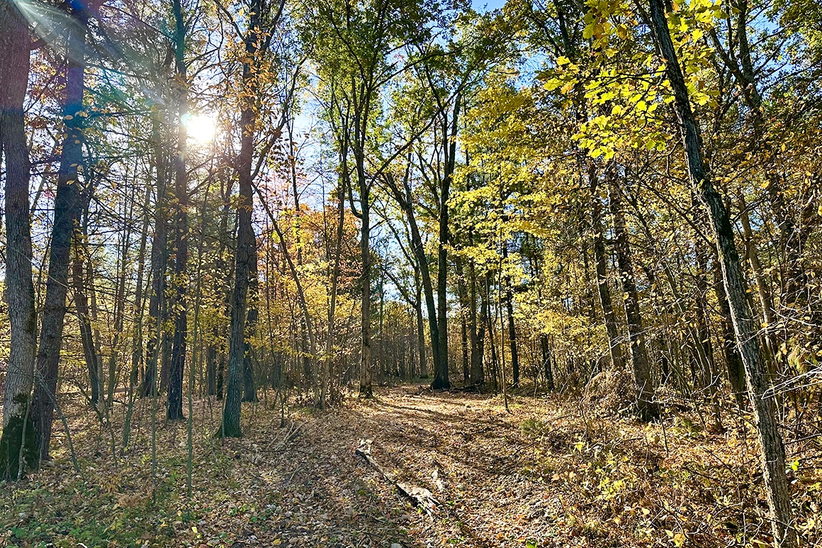 12 Acres Wooded Land For Sale West of Bloomer, WI! Thousand Lakes