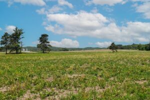 Waterfront property for sale near Sparta, Wisconsin