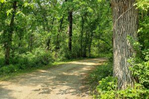 Waterfront property for sale near Sparta, Wisconsin