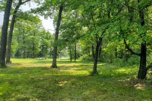 Waterfront property for sale near Sparta, Wisconsin