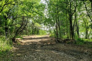 Waterfront property for sale near Sparta, Wisconsin