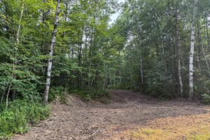 Northern Wisconsin land for sale near Hayward, WI