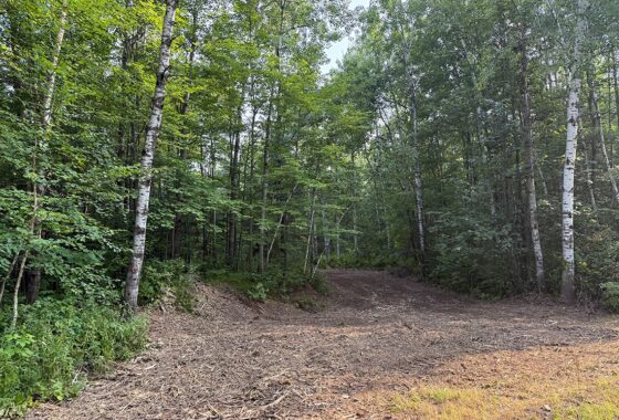 Northern Wisconsin land for sale near Hayward, WI